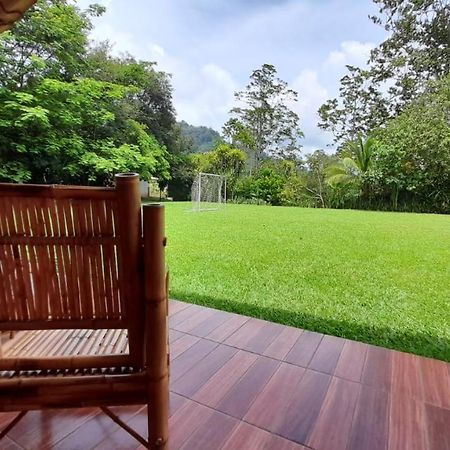 Hospedaje Amanecer Bed and Breakfast Turrialba Exterior foto