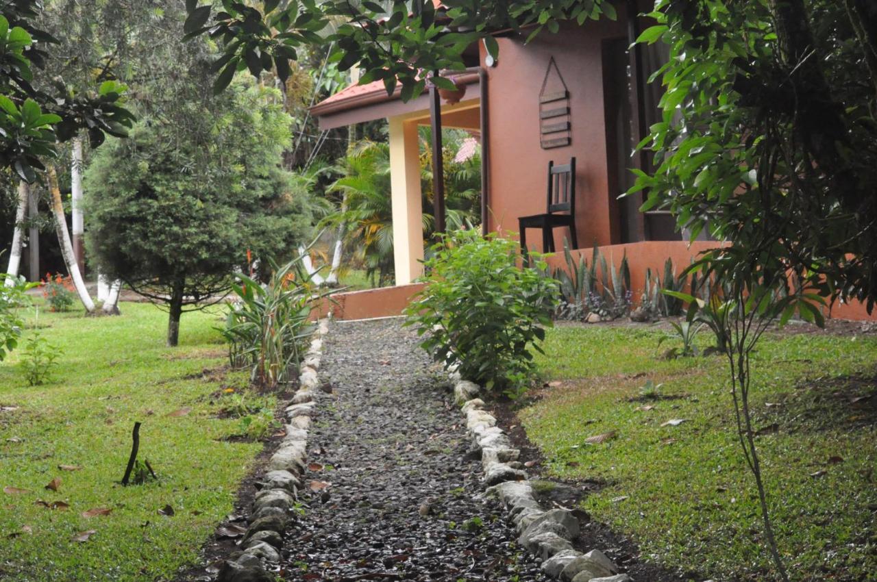 Hospedaje Amanecer Bed and Breakfast Turrialba Exterior foto