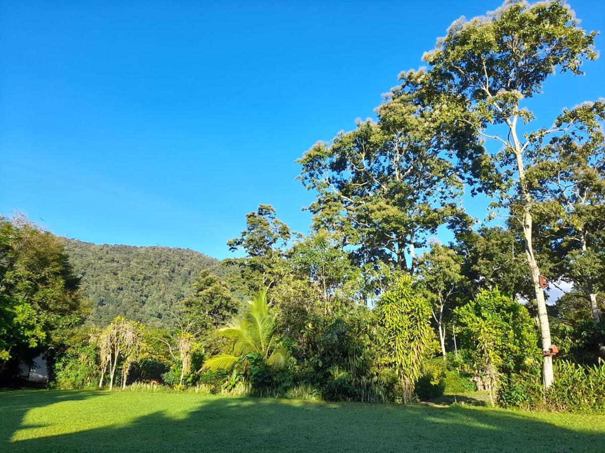 Hospedaje Amanecer Bed and Breakfast Turrialba Exterior foto