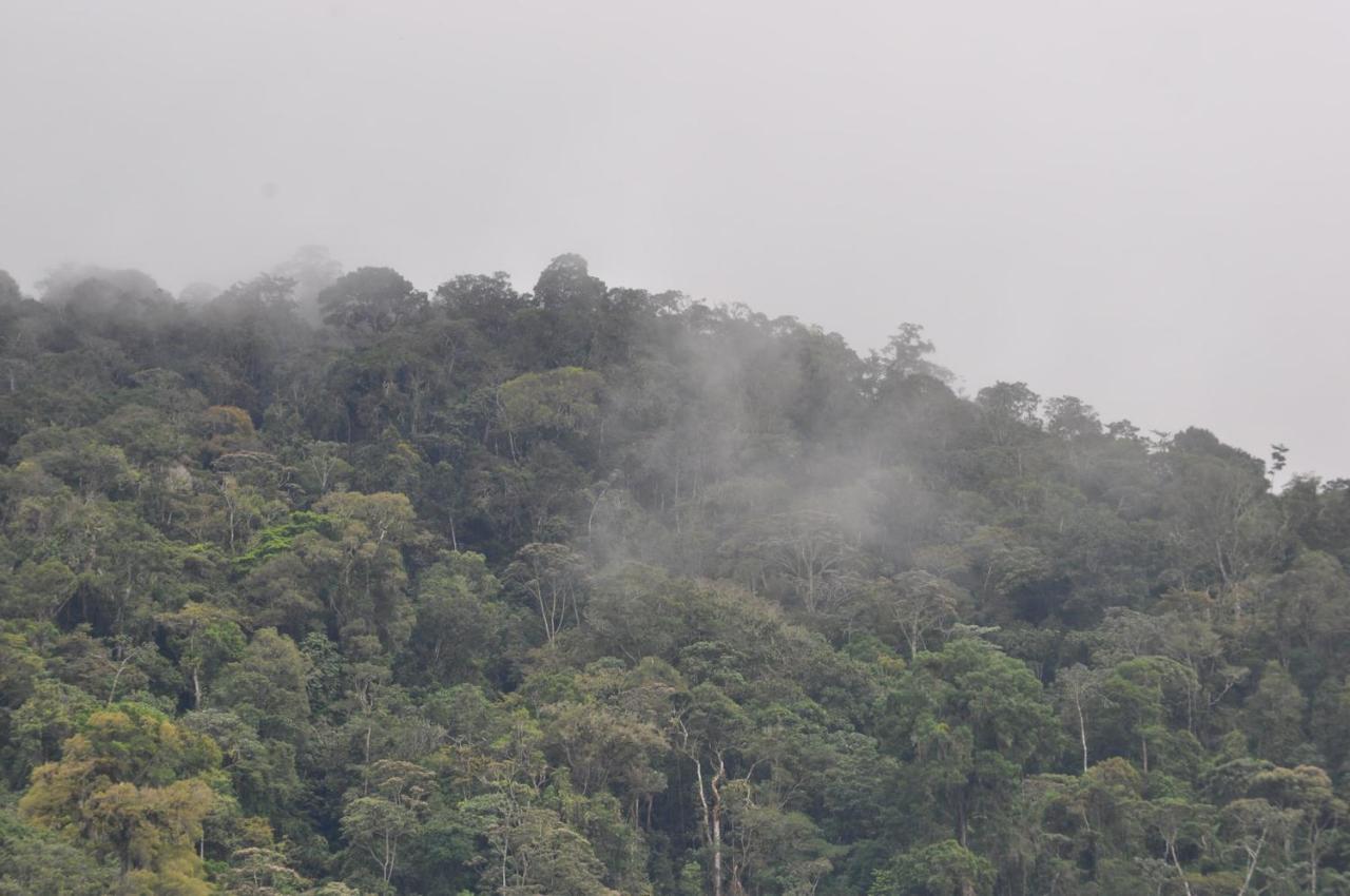 Hospedaje Amanecer Bed and Breakfast Turrialba Exterior foto