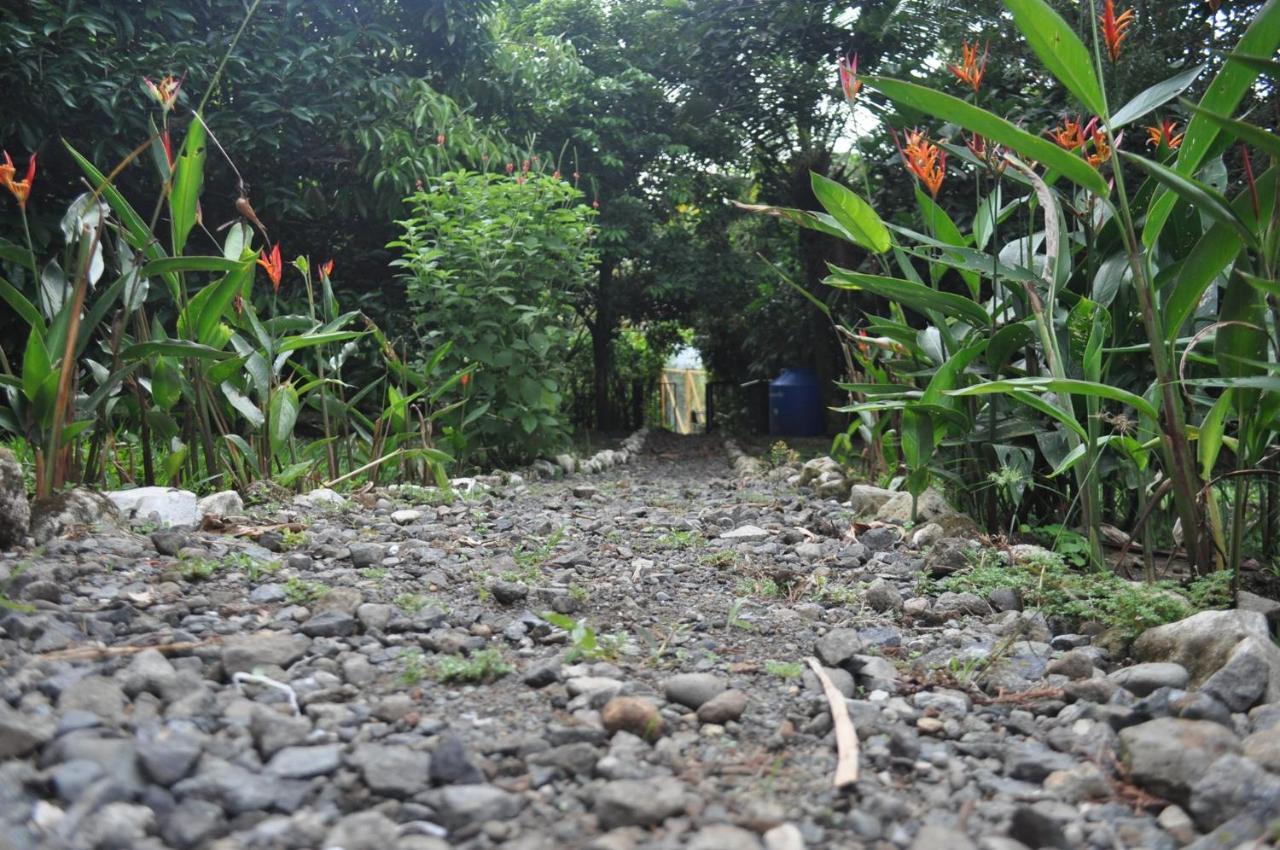 Hospedaje Amanecer Bed and Breakfast Turrialba Exterior foto